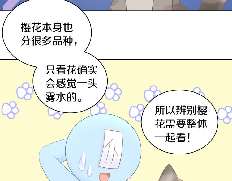 第197话 樱花攻略37