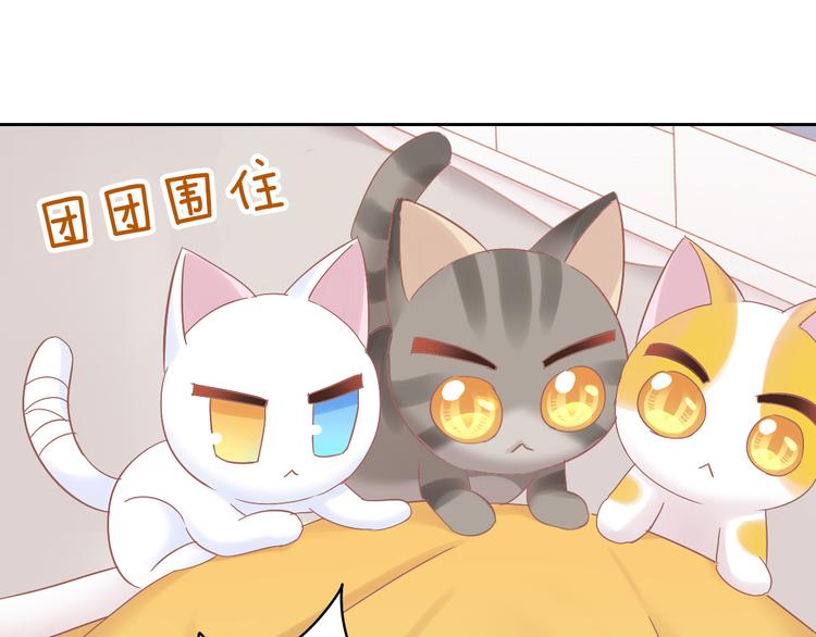 第189话 杂物堆里的它41