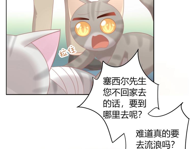 第126话 猫舍C位（二）71