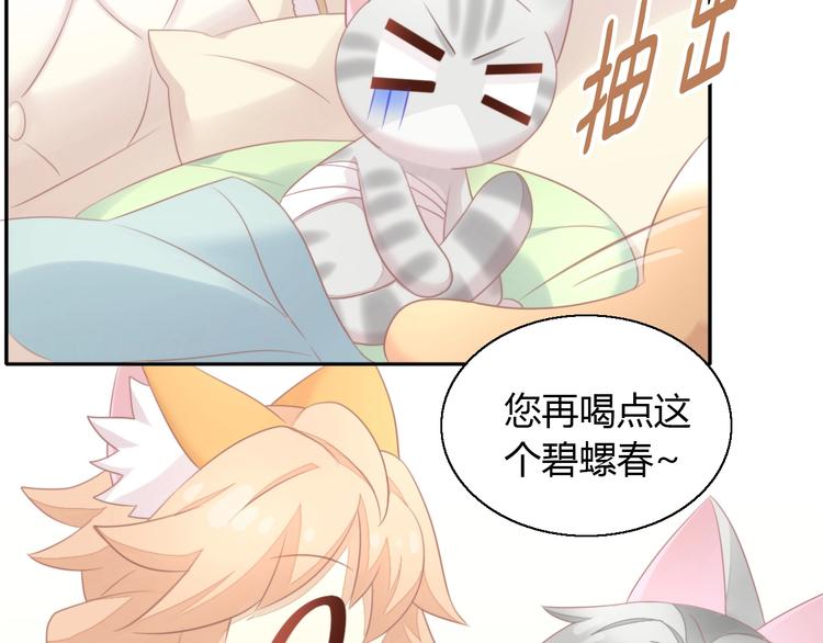 第127话 猫舍C位（三）58