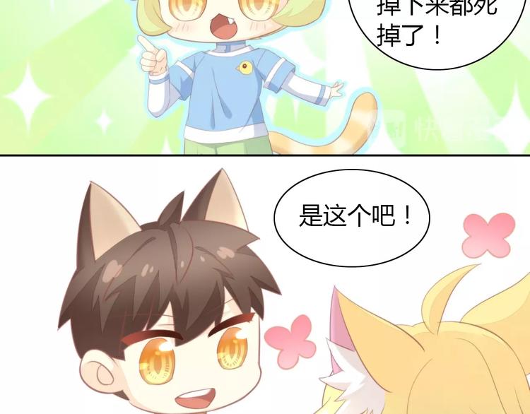 第105话 蚊子战争16