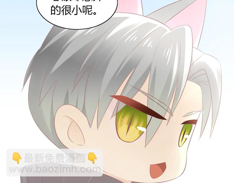 第128话 猫舍C位（四）47
