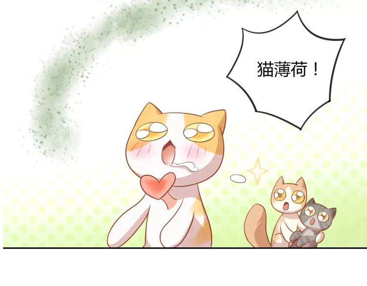 第12话  纸箱争夺战57