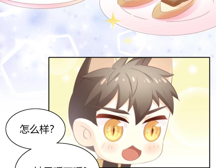 第127话 猫舍C位（三）7