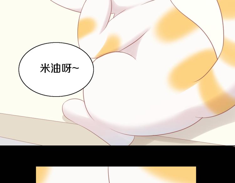 第147话 走花路吧！皮卡！41