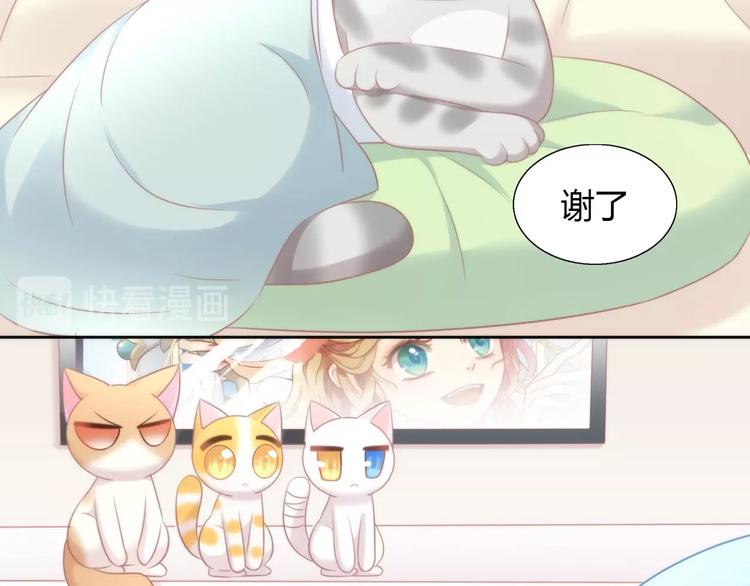 第127话 猫舍C位（三）10