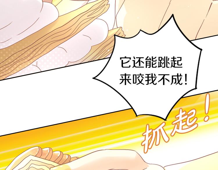 第181回  拿破仑50