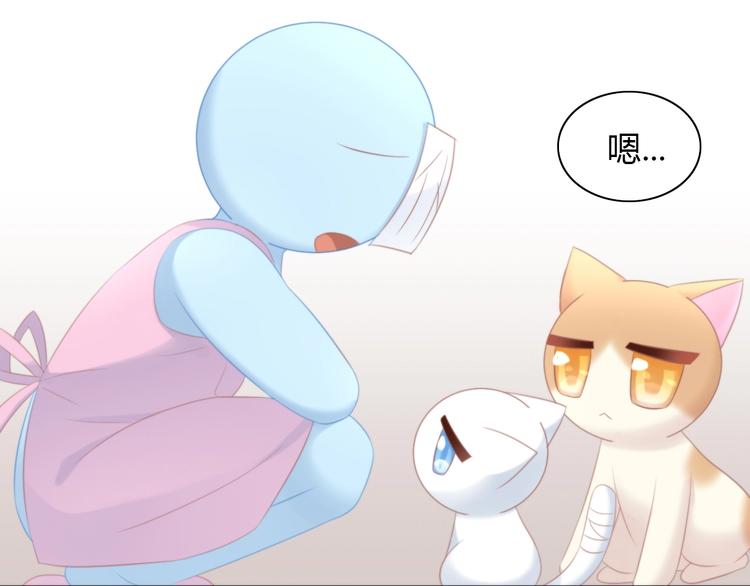 第114话 猫咪也要刷牙！59