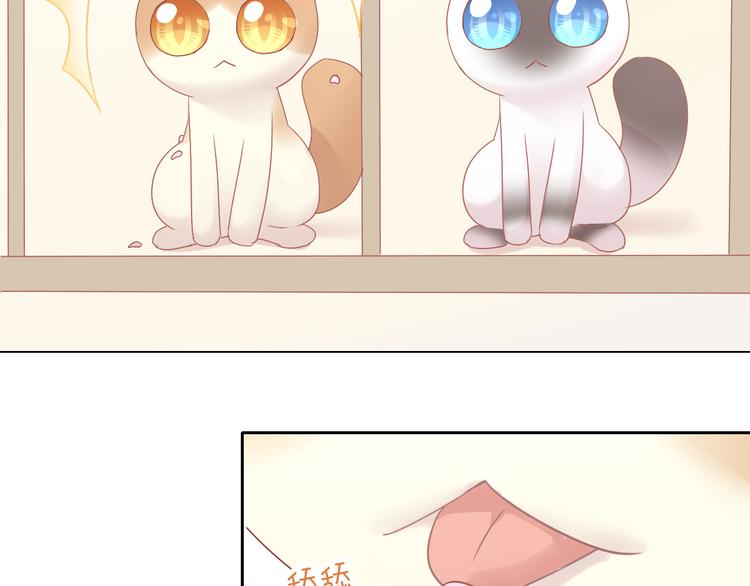 第173话 全员外宿85