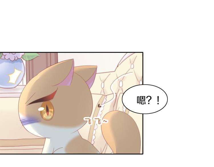 第166话 猫咪花园49