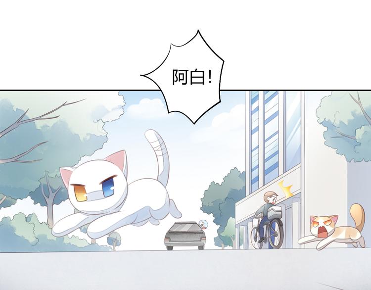 第58话 你不像他36