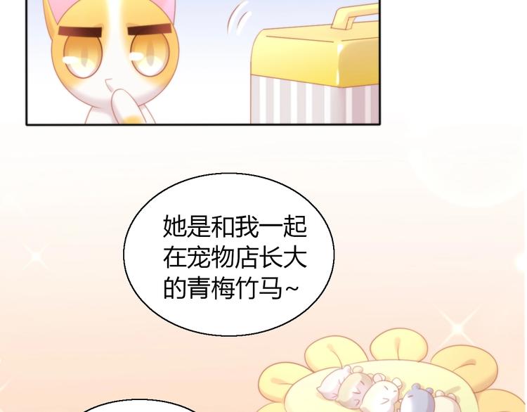 第108话 仓鼠也有梦想！55