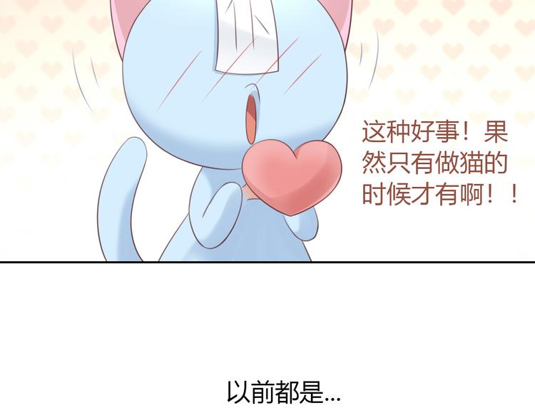 第51话 人猫大互换？73