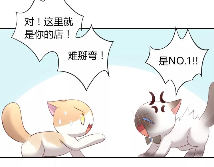 第34话 猫执事（上）24