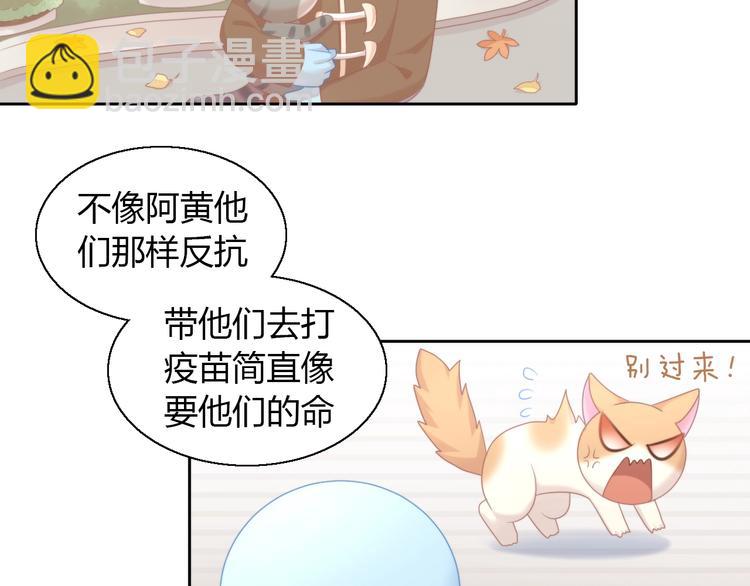 第126话 猫舍C位（二）6