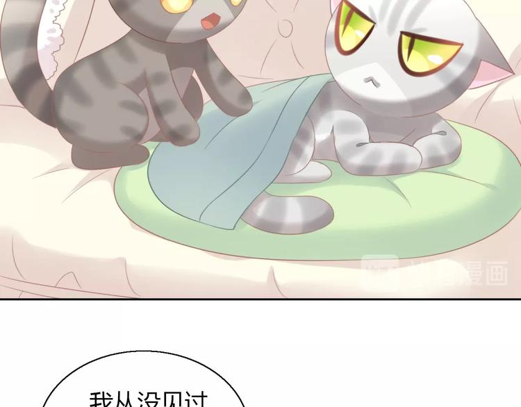 第127话 猫舍C位（三）34