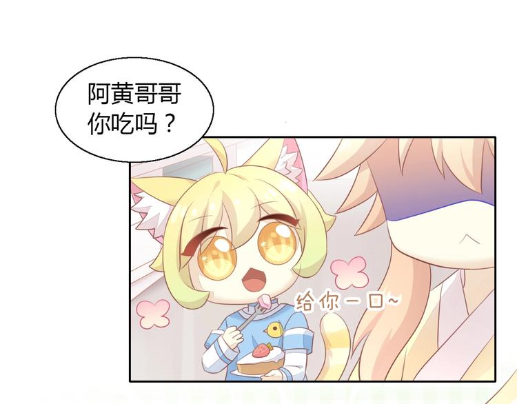 第127话 猫舍C位（三）91