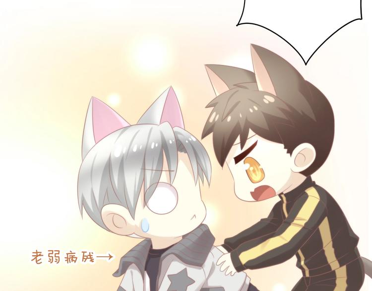 第126话 猫舍C位（二）72