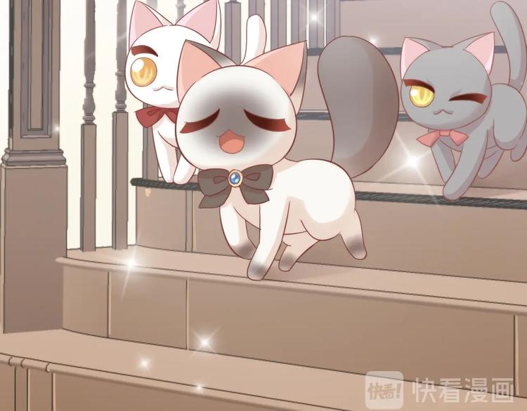第133话 撸猫技师（一）64