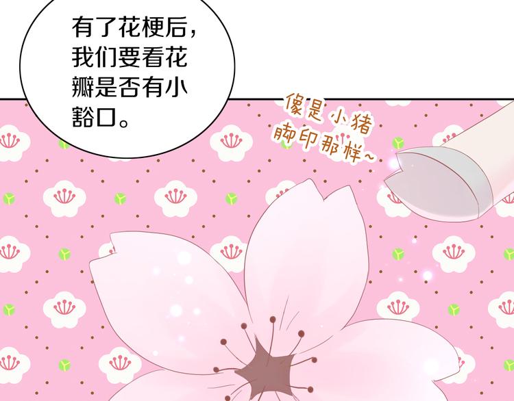 第197话 樱花攻略47