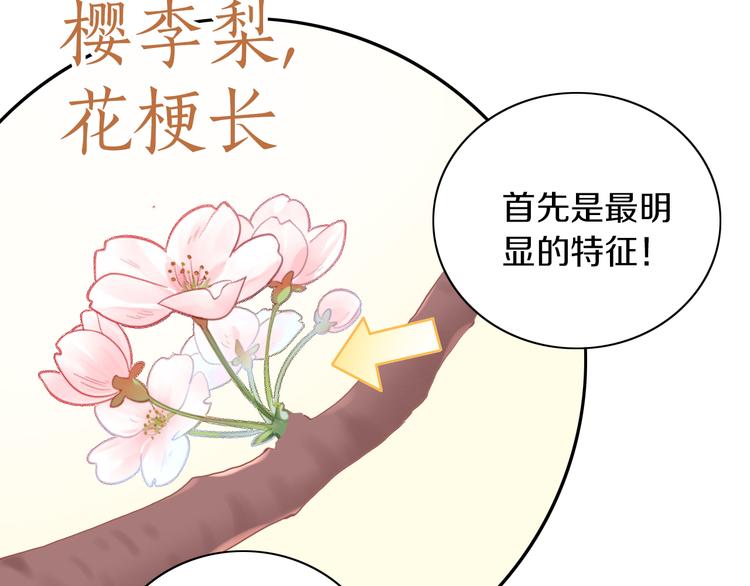 第197话 樱花攻略40