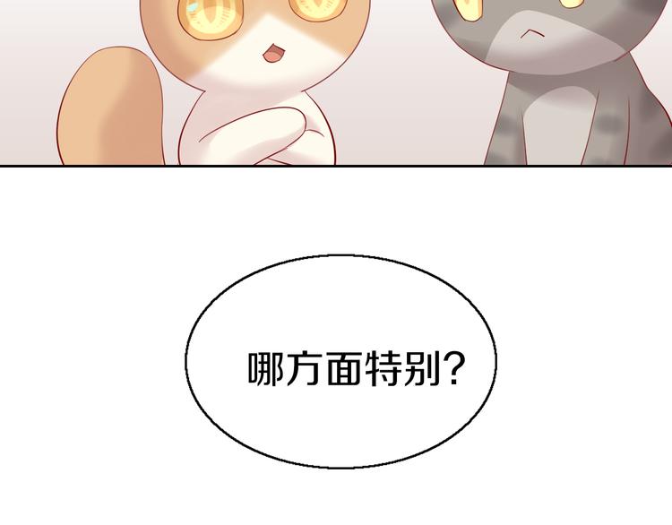 第143话 腮红鹦鹉69