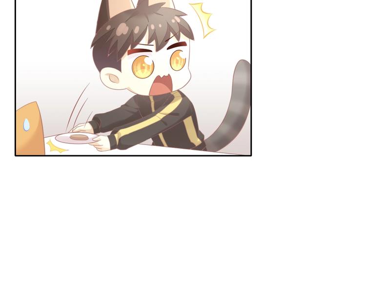 第128话 猫舍C位（四）30