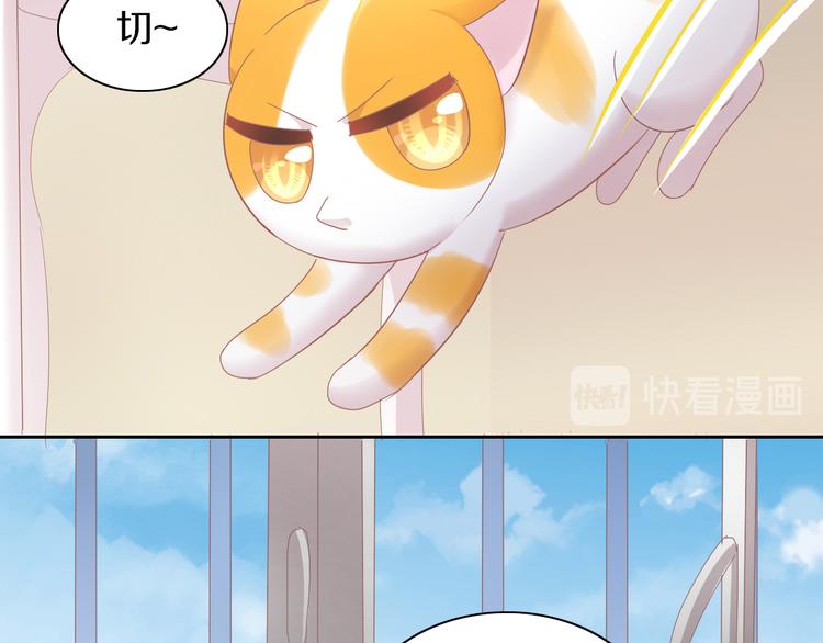 第167话 疯狂的蛋糕18