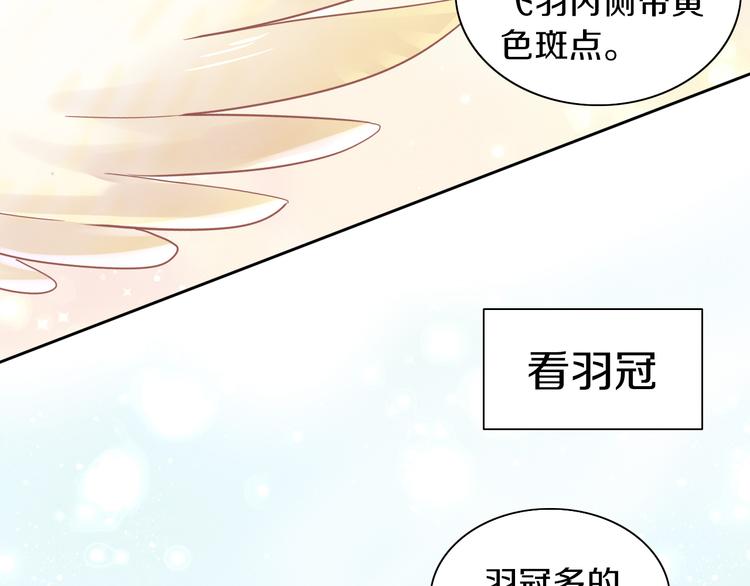 第170话 皮卡和小智33