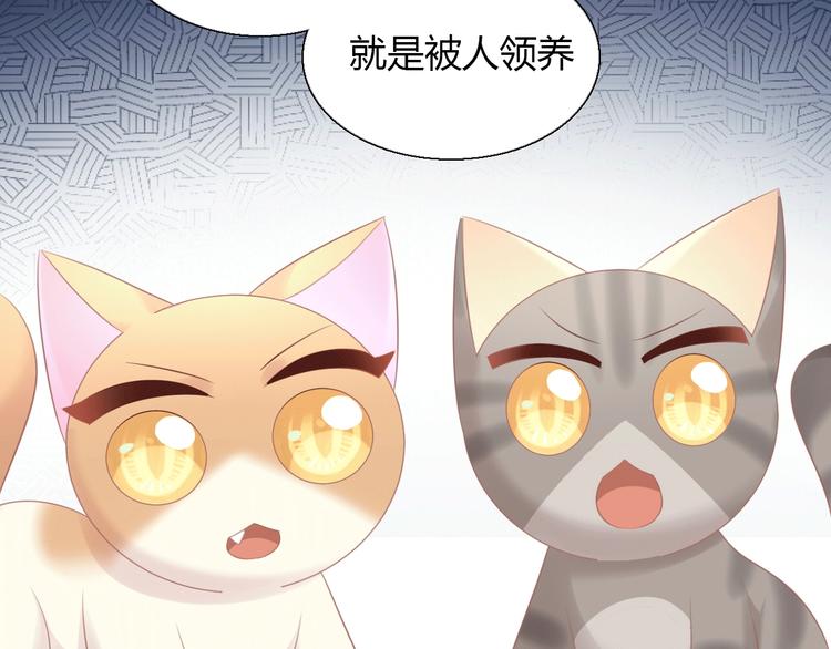 第130话 猫舍C位（六）32