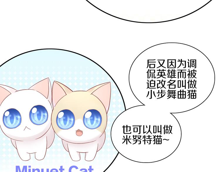 第181回  拿破仑29