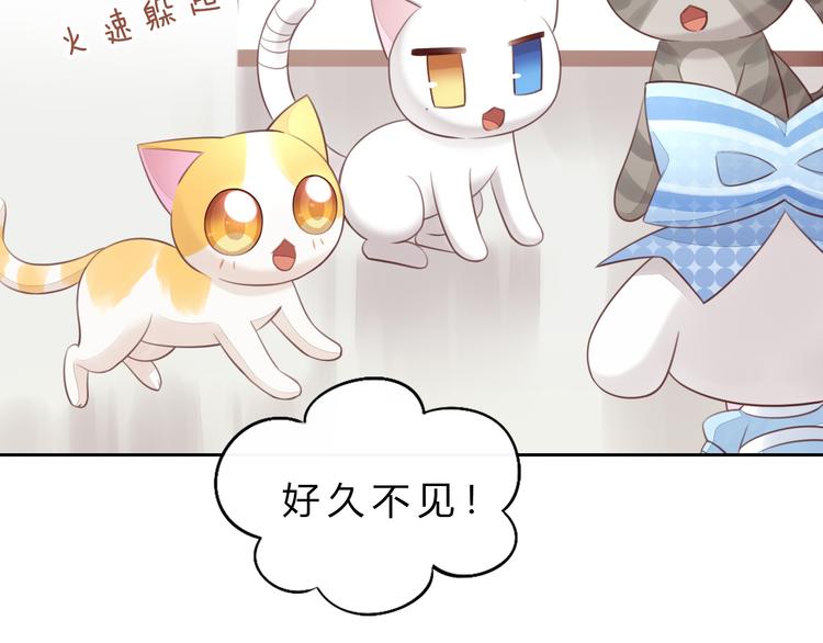 第56话 照片6