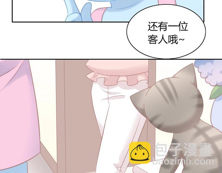 第129话 猫舍C位（五）83