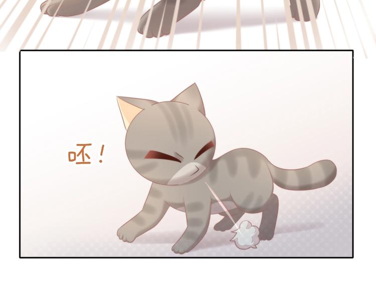 第126话 猫舍C位（二）52