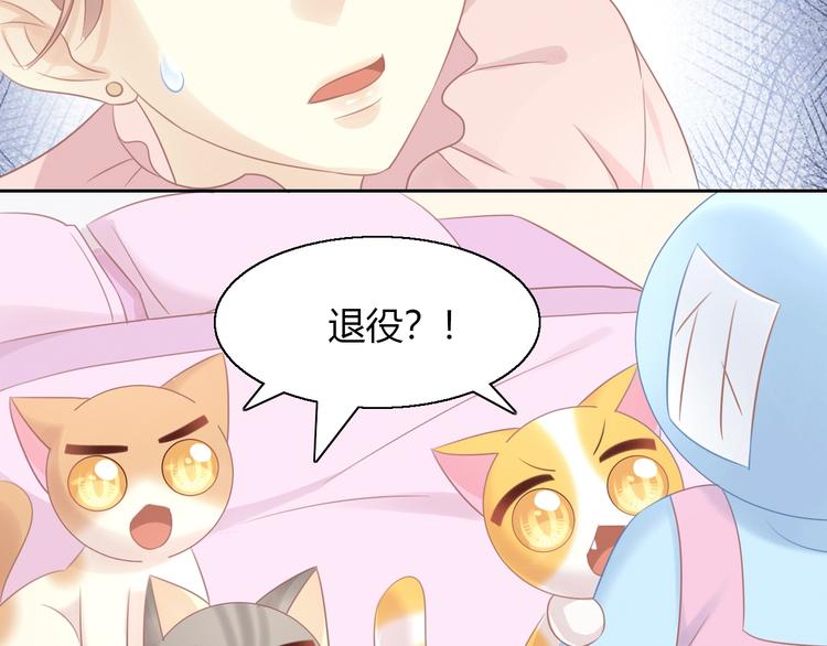 第130话 猫舍C位（六）28