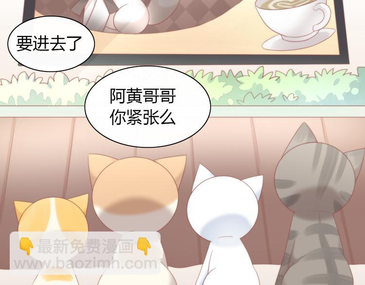 第78话 选美比赛10