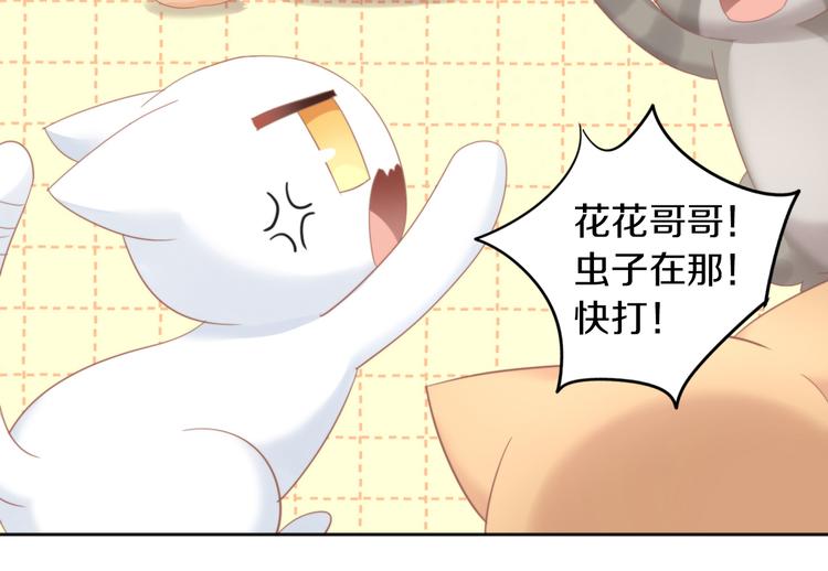 第166话 猫咪花园37