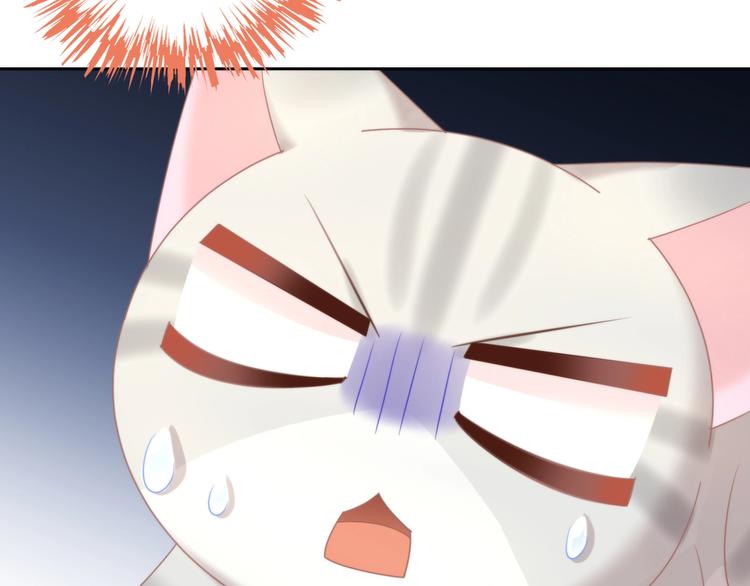 第126话 猫舍C位（二）58