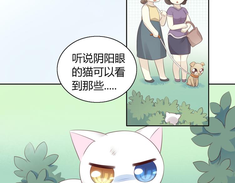 第57话 替代品42