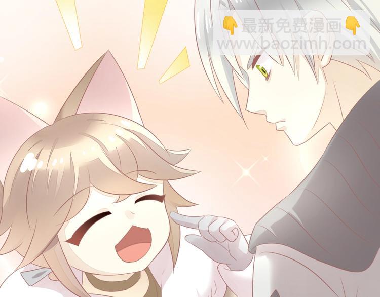 第125话 猫舍C位（一）95