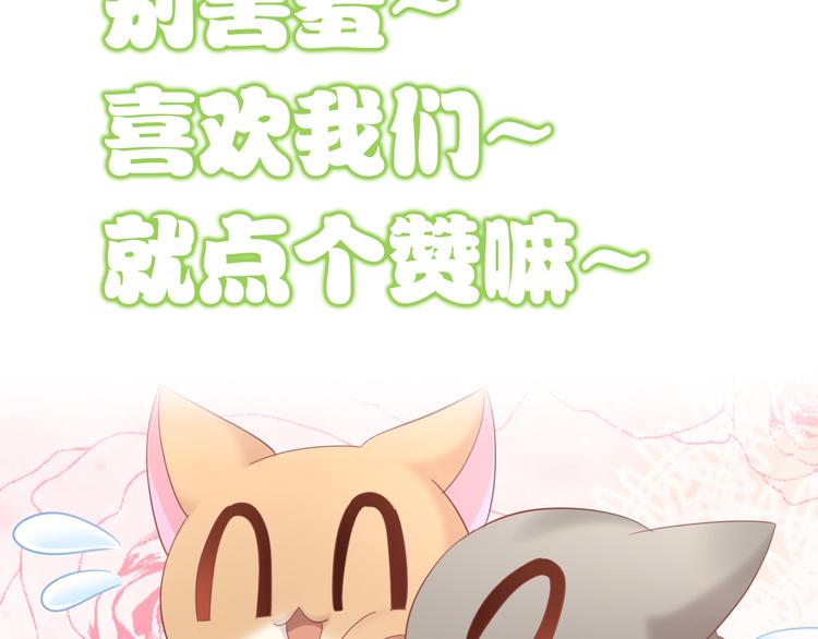 第147话 走花路吧！皮卡！91