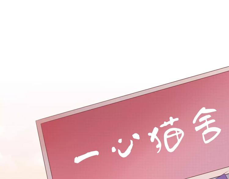 第24话 猫咪专家4