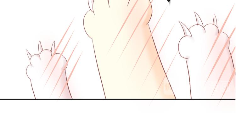 第195话  宠物毛毡28