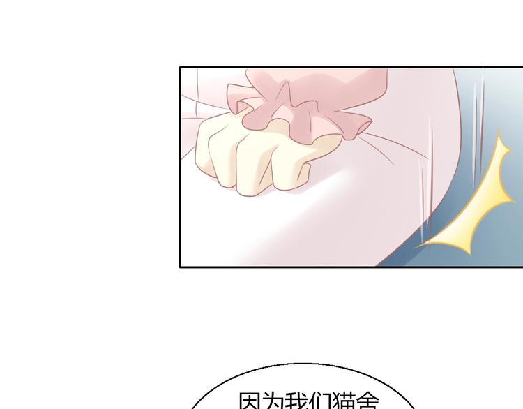 第129话 猫舍C位（五）35