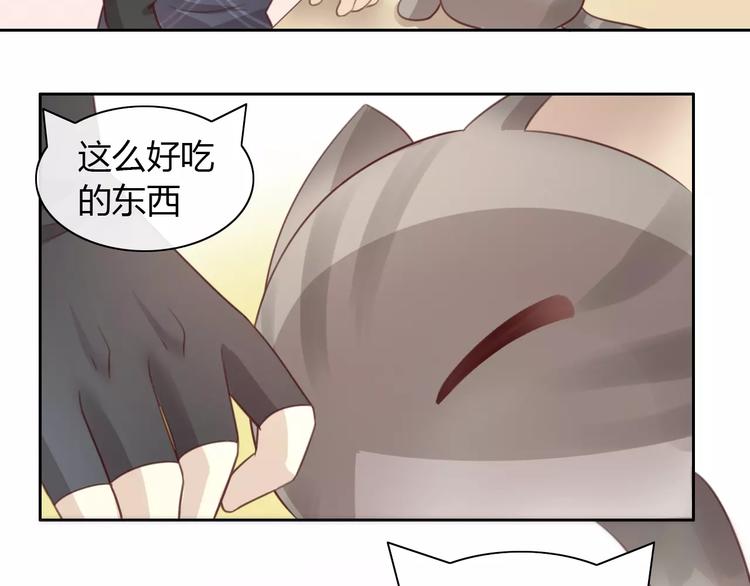 第24话 猫咪专家61
