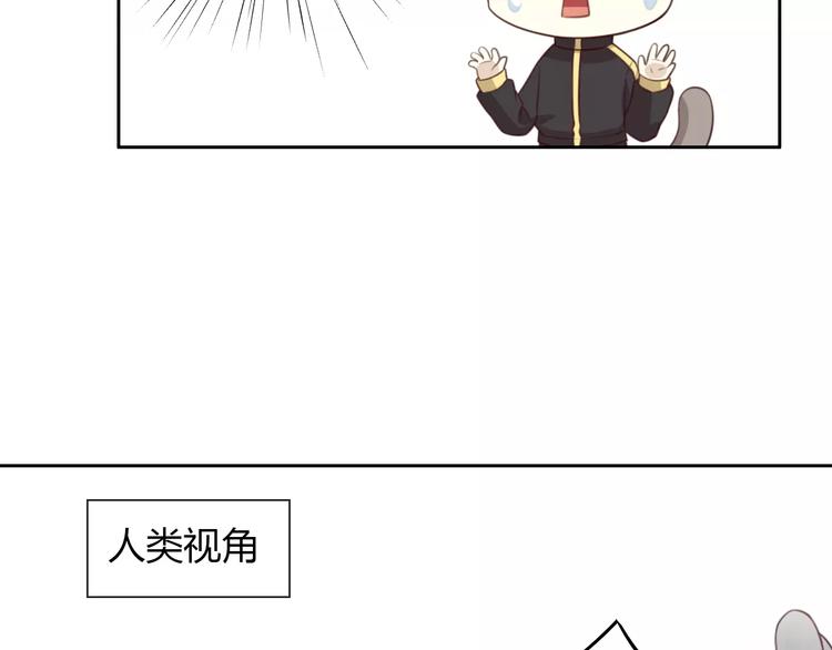 第31话 再见啦疾风25