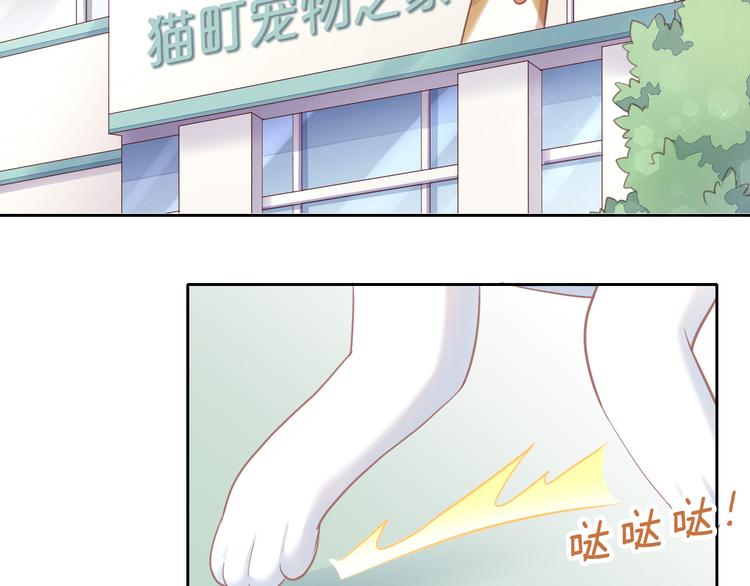 第143话 腮红鹦鹉7