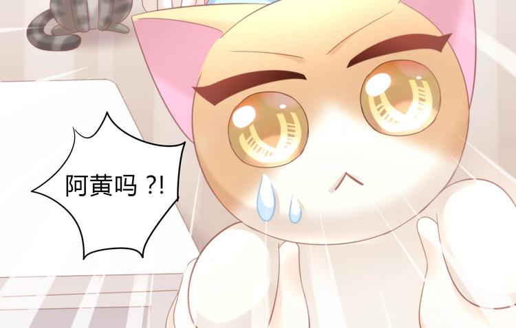 第103话 迷之制茶师75