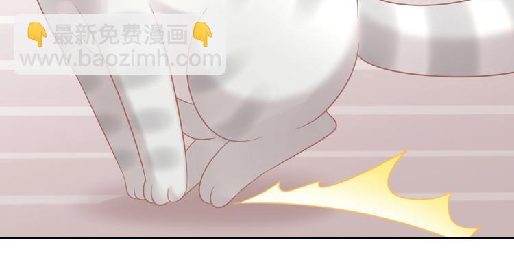 第130话 猫舍C位（六）14