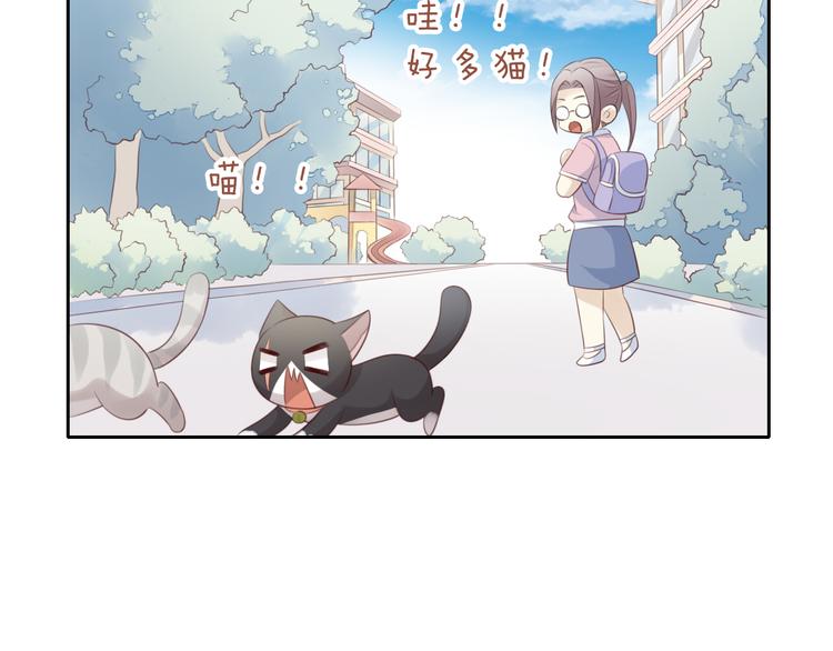 第60话 英雄救美84
